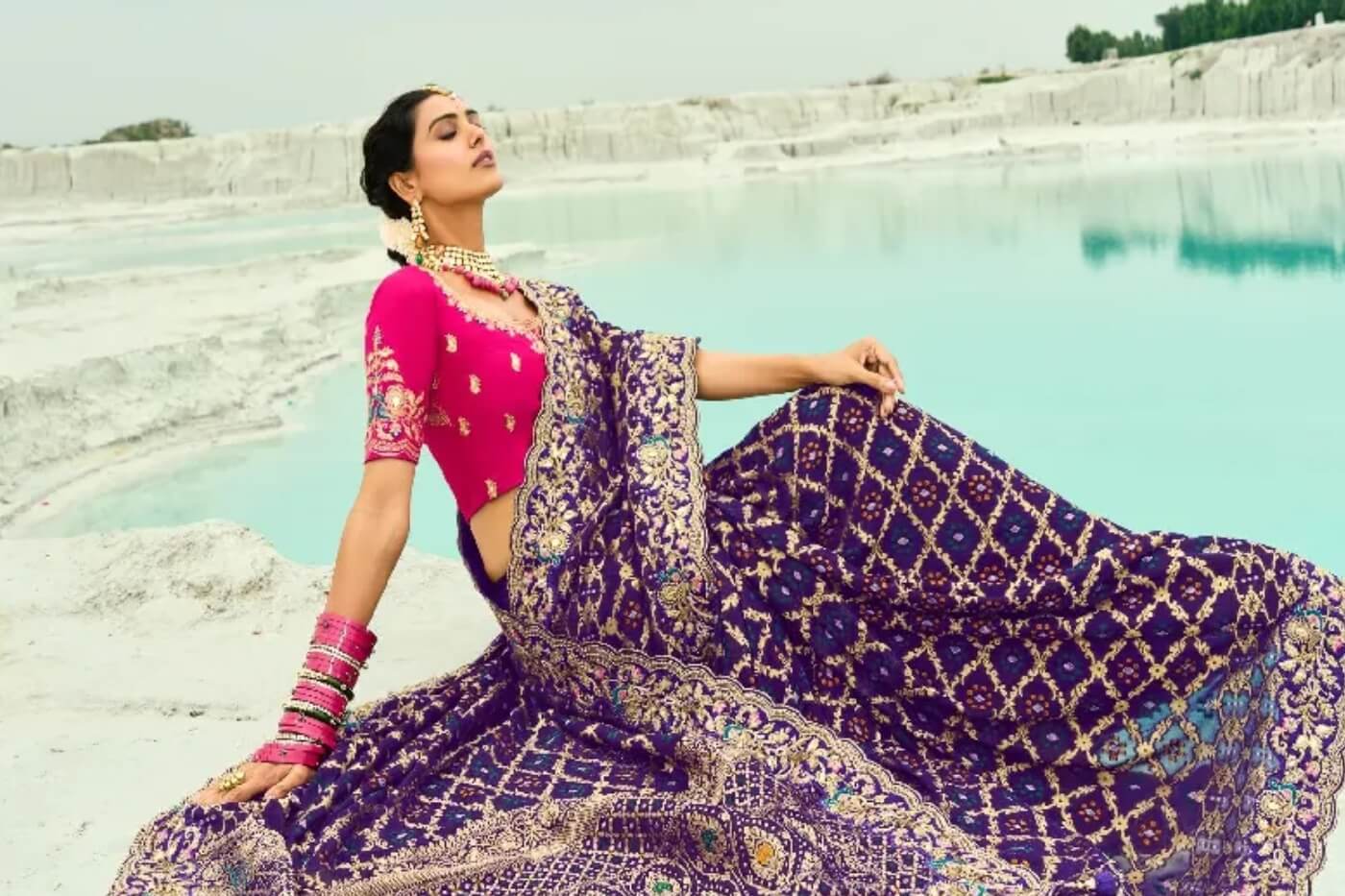 Buy Banarasi Sarees Online in India – Authentic Collection from Laxmi Saree Ghar