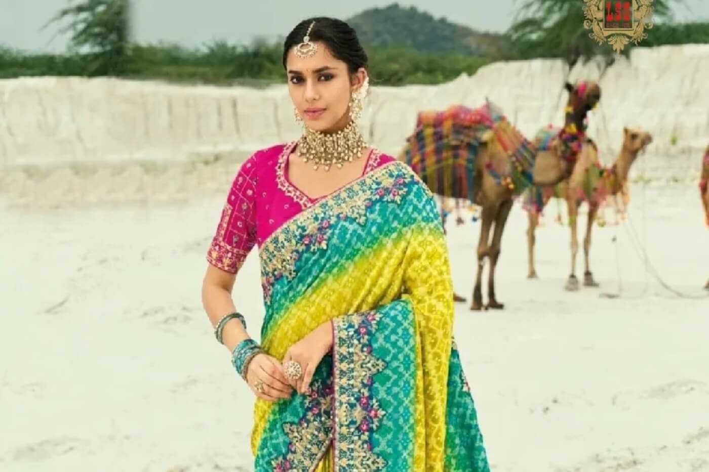 Trusted Online Saree Seller in India – Laxmi Saree Ghar