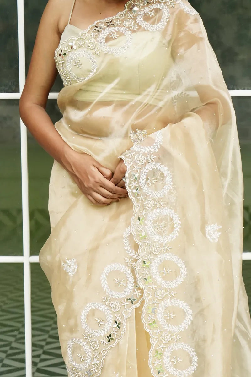BIEGE COLOR TISSUE SILK SAREE