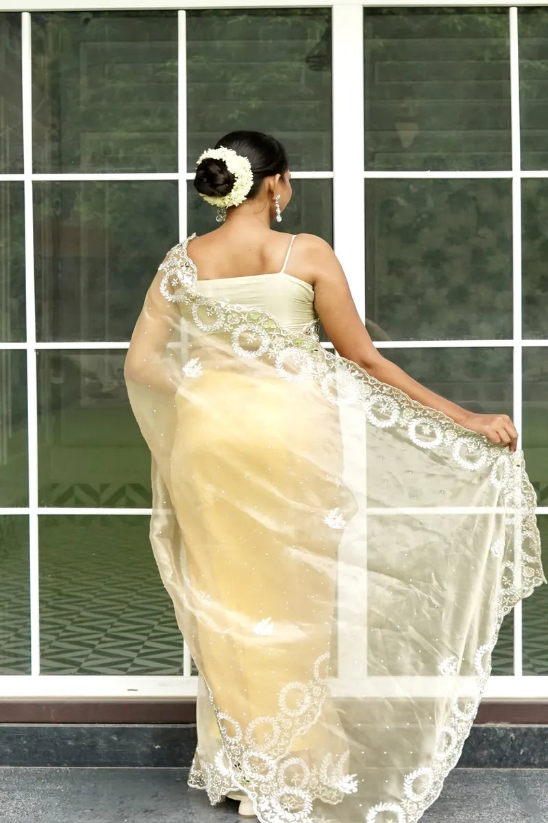 BIEGE COLOR TISSUE SILK SAREE