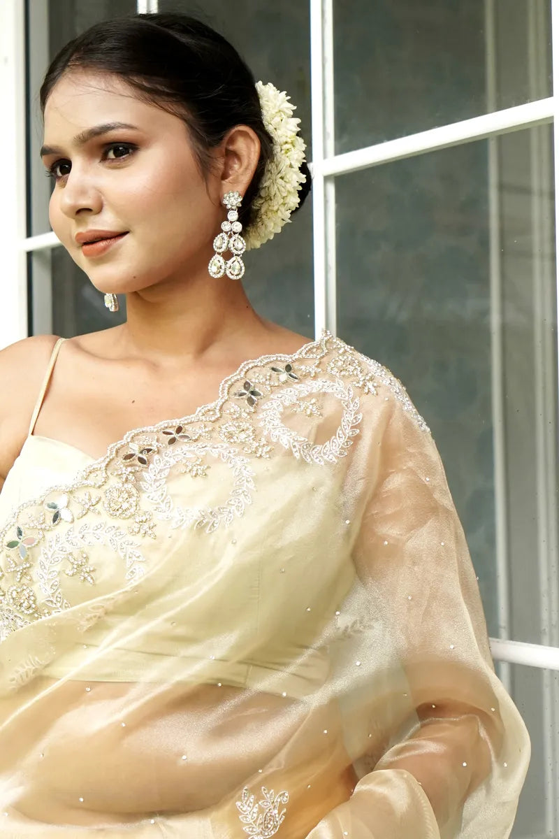 BIEGE COLOR TISSUE SILK SAREE