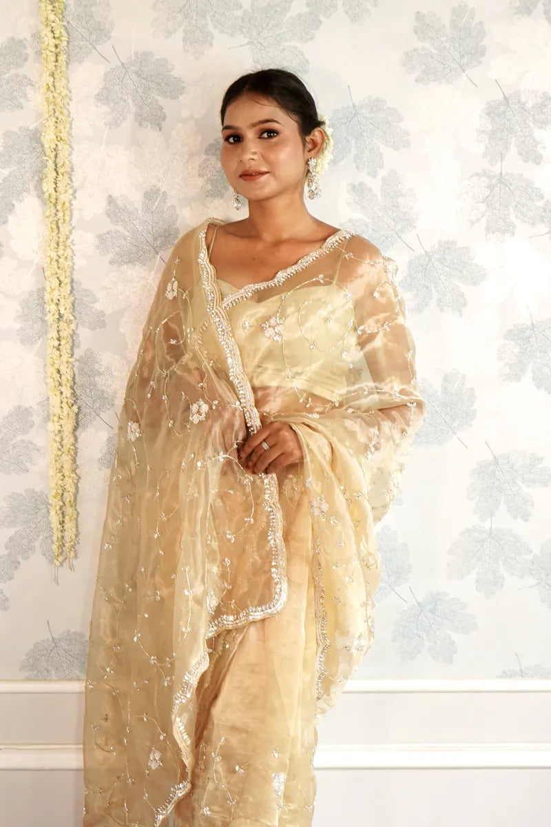 LIGHT GOLD COLOR TISSUE SILK SAREE