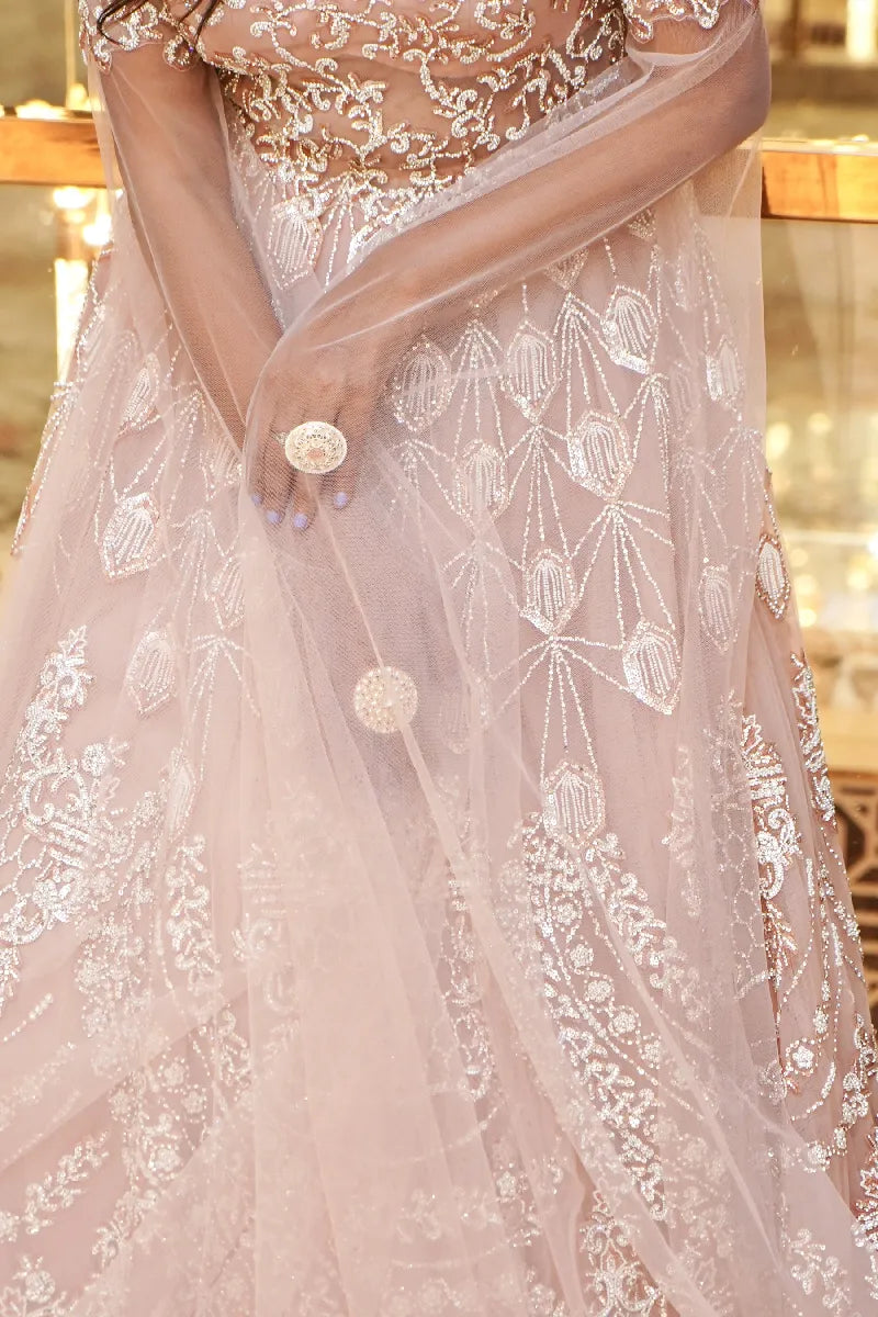 BABY PINK COLOR TWO PIECES CROP TOP GOWN INDO-WESTERN