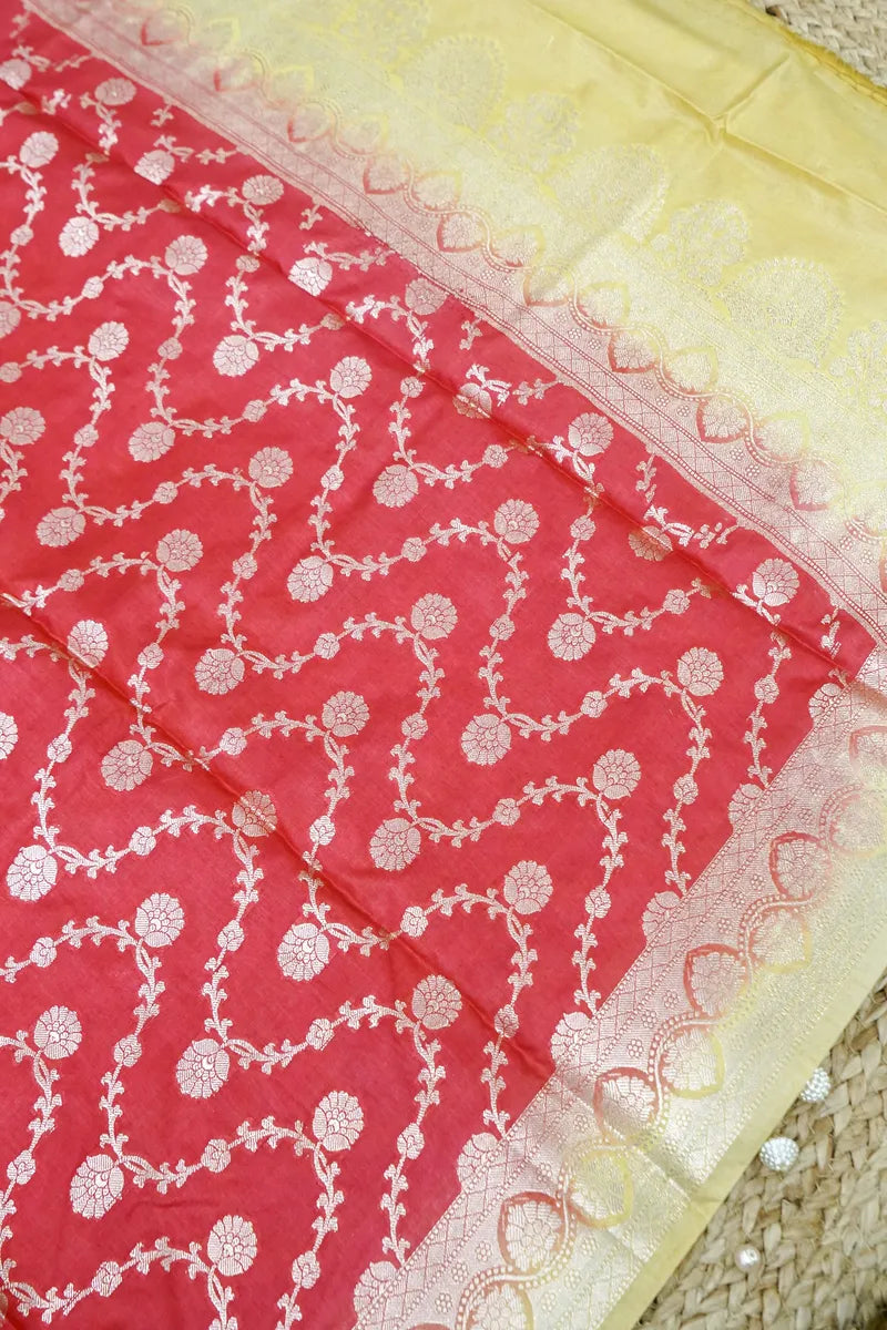 Best Saree Shop in India stylish saree look