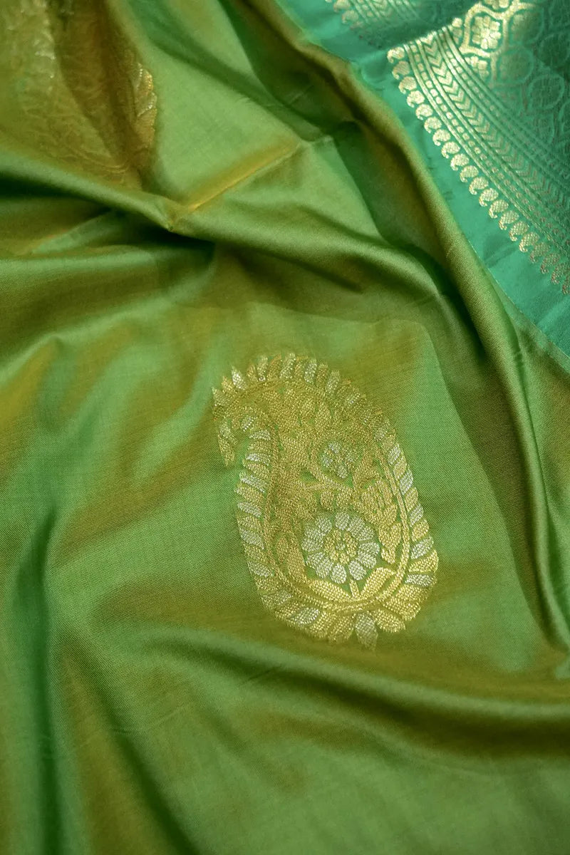 Best Saree Shop in India elegant Indian wedding saree