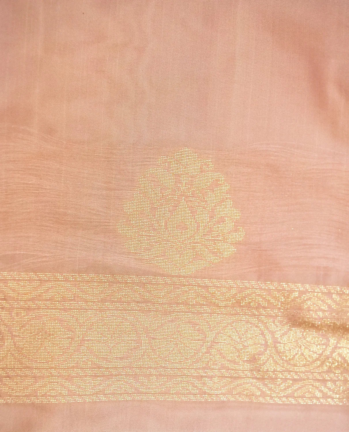 Best Saree Shop in India premium wedding fashion