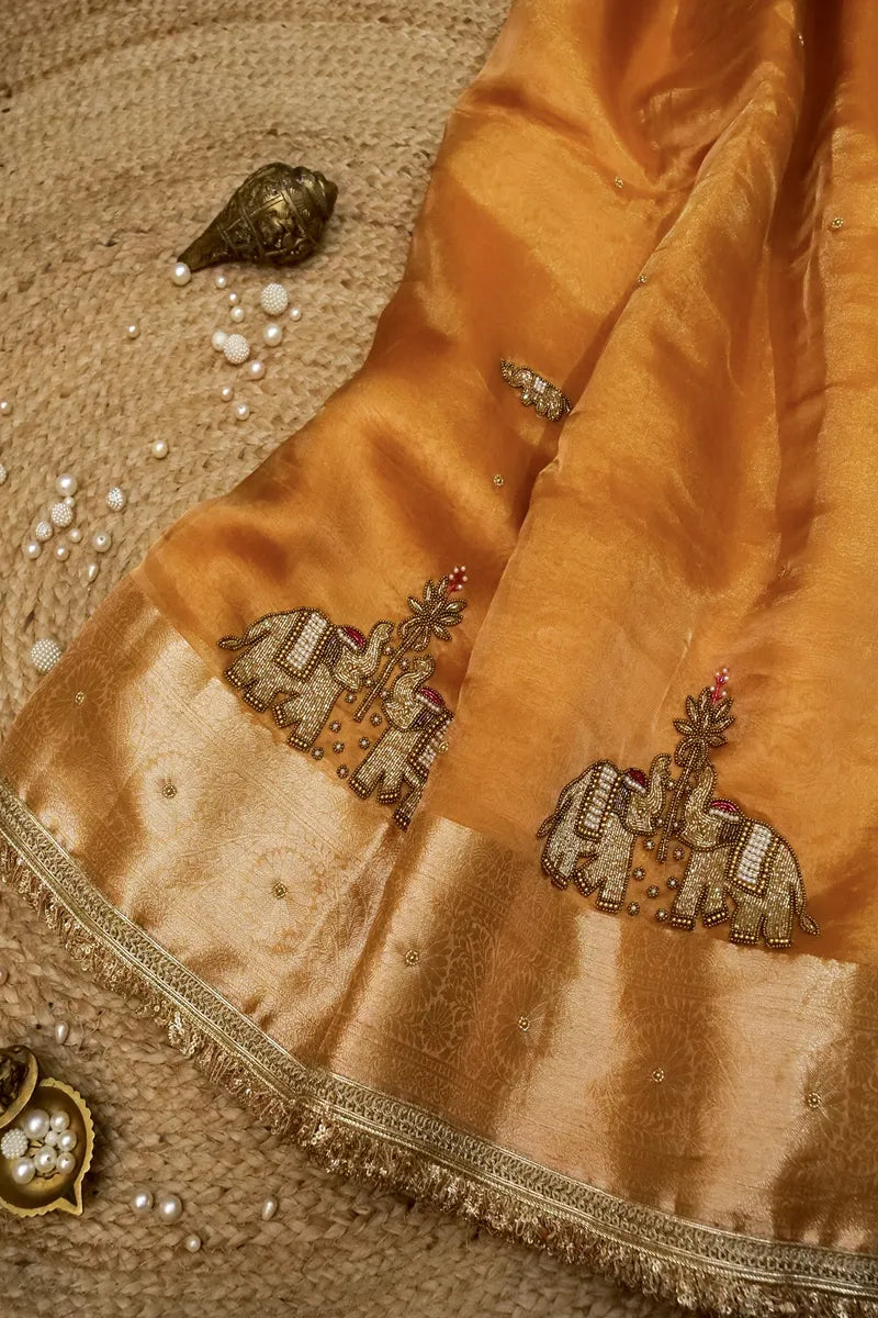 Best Saree Shop in India stylish Indian bridal saree