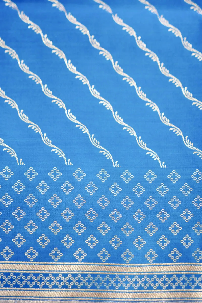 Banarasi tissue saree Varanasi