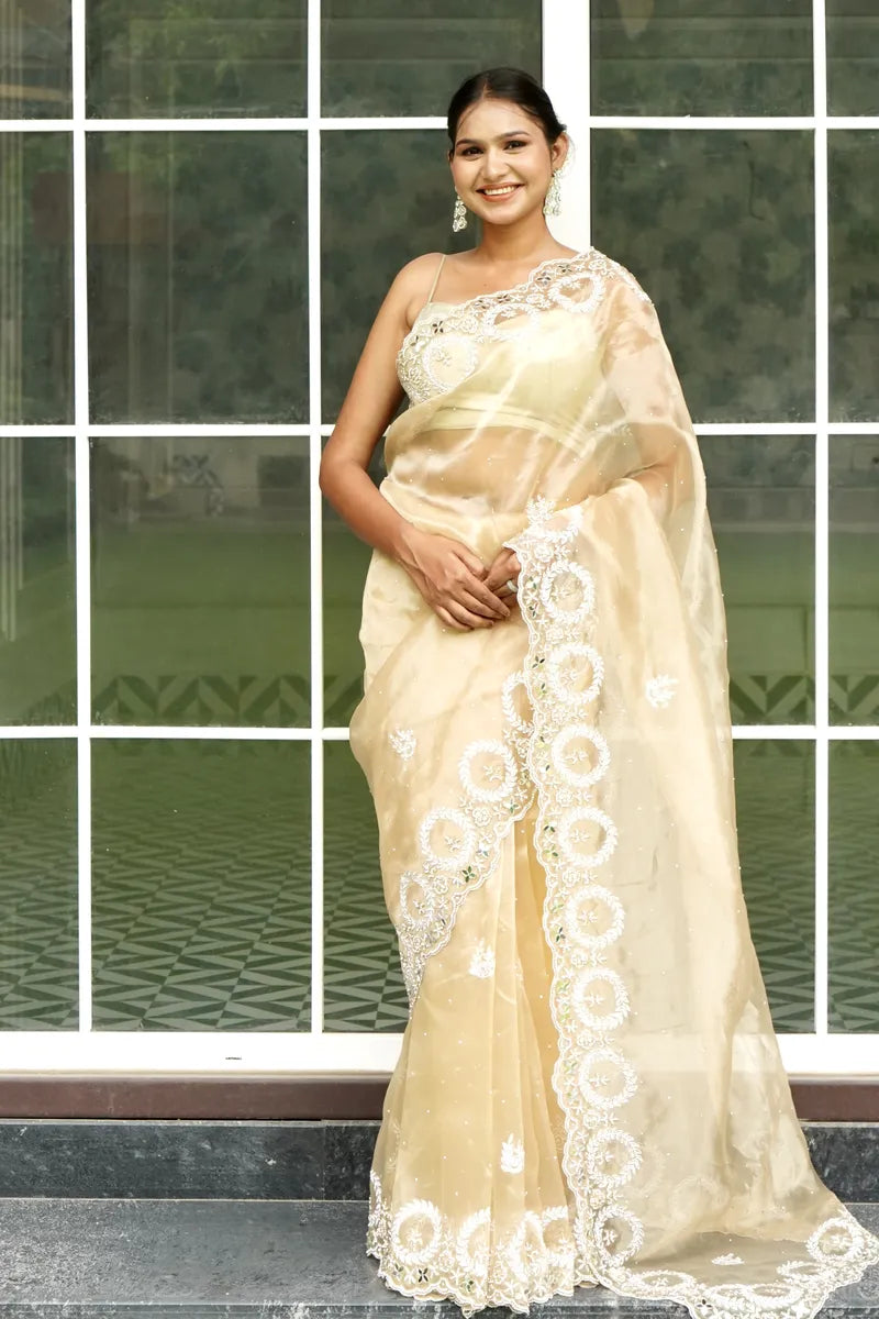 BIEGE COLOR TISSUE SILK SAREE