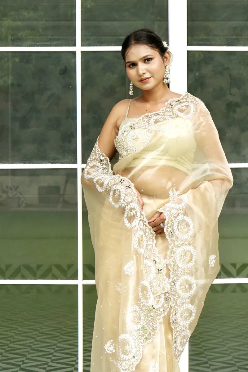 BIEGE COLOR TISSUE SILK SAREE