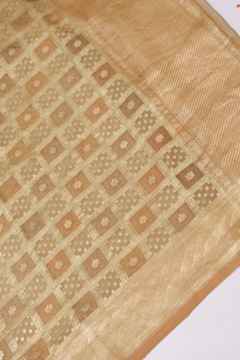 PURE BANARASI GEORGETTE SILK CHIKU COLOR UNSTITCHED SUIT