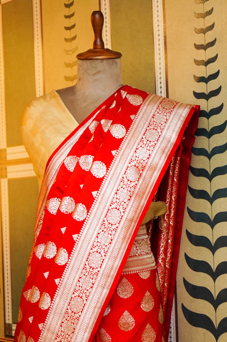 ANUSHKA SHARMA DESIGN