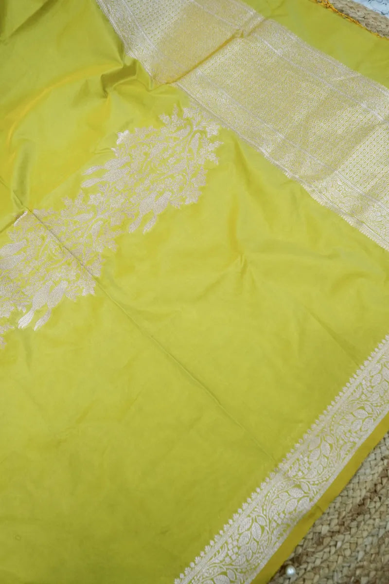 Best Saree Shop in India elegant wedding saree