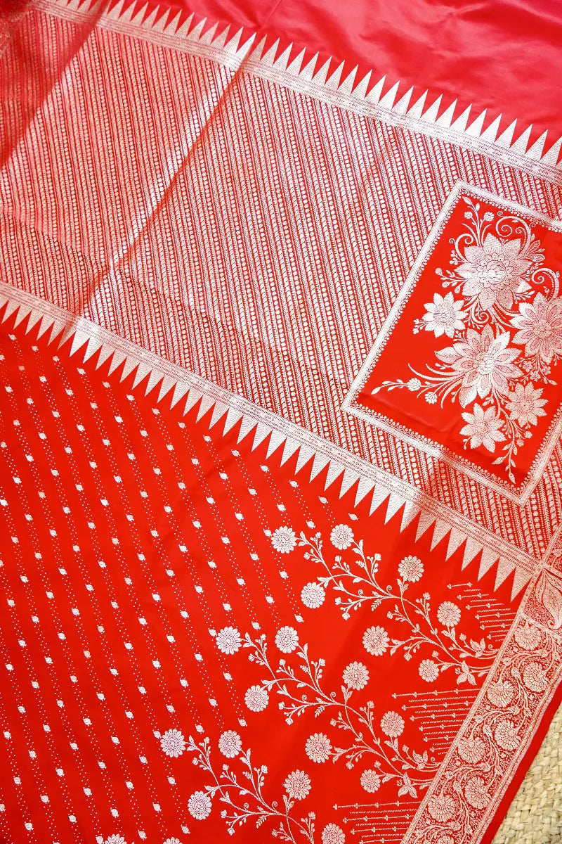 Banarasi tissue saree Varanasi