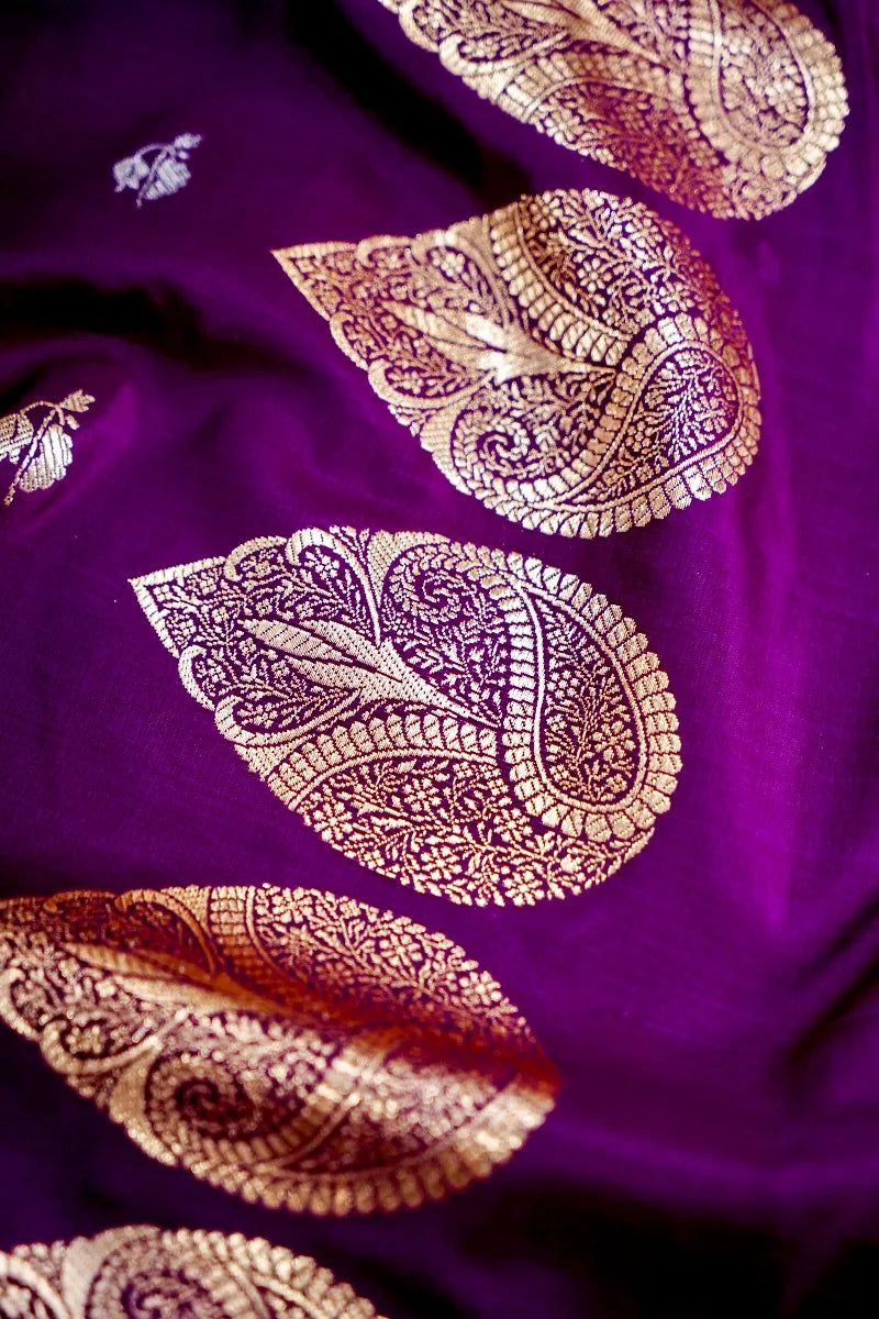 Banarasi tissue saree Varanasi