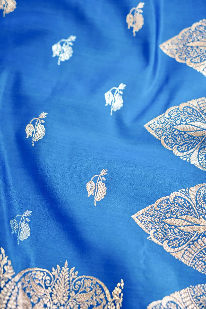 Banarasi tissue saree Varanasi