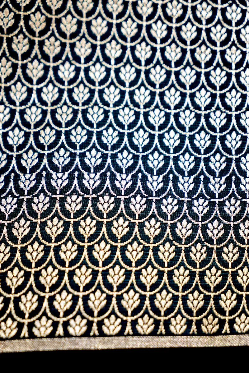 Banarasi tissue saree Varanasi