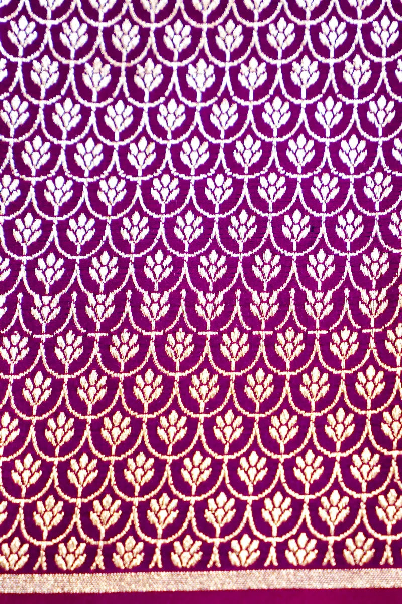 Premium saree collection